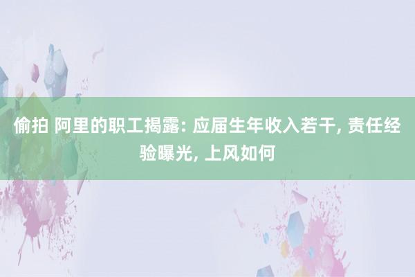 偷拍 阿里的职工揭露: 应届生年收入若干， 责任经验曝光， 上风如何