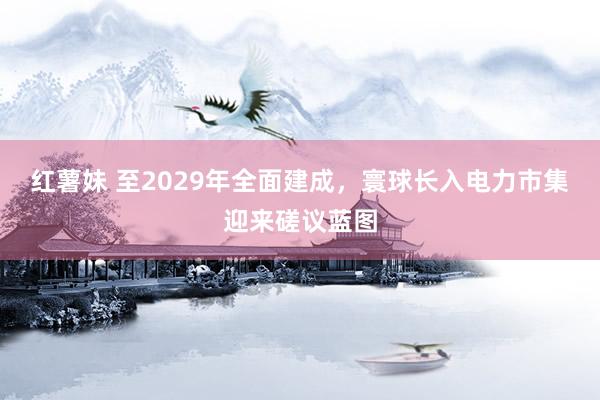 红薯妹 至2029年全面建成，寰球长入电力市集迎来磋议蓝图