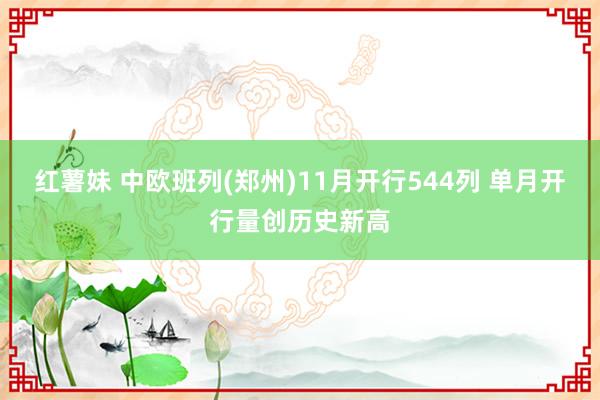 红薯妹 中欧班列(郑州)11月开行544列 单月开行量创历史新高