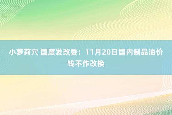 小萝莉穴 国度发改委：11月20日国内制品油价钱不作改换