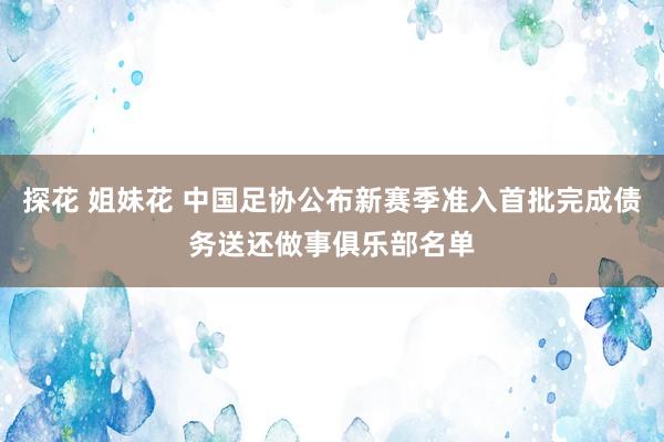 探花 姐妹花 中国足协公布新赛季准入首批完成债务送还做事俱乐部名单