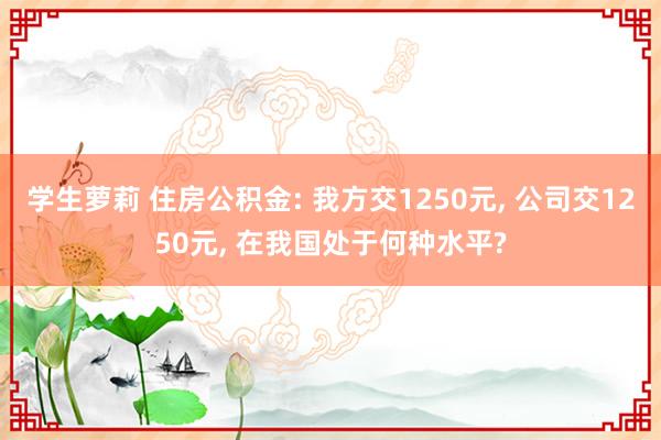 学生萝莉 住房公积金: 我方交1250元， 公司交1250元， 在我国处于何种水平?