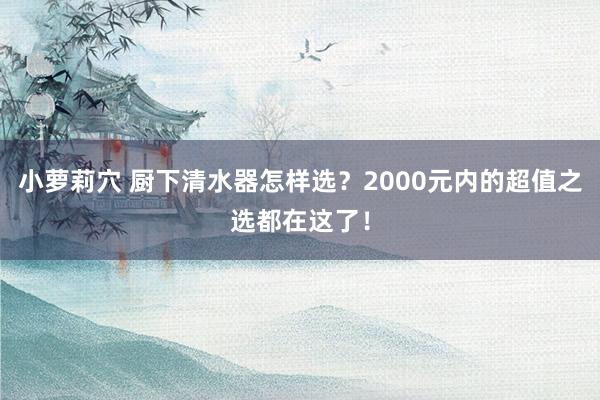 小萝莉穴 厨下清水器怎样选？2000元内的超值之选都在这了！