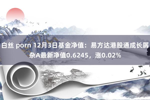 白丝 porn 12月3日基金净值：易方达港股通成长羼杂A最新净值0.6245，涨0.02%