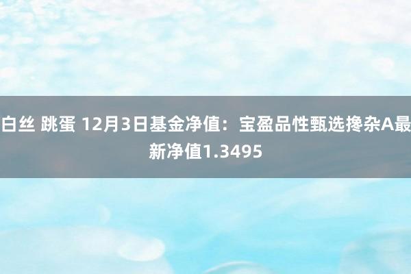 白丝 跳蛋 12月3日基金净值：宝盈品性甄选搀杂A最新净值1.3495