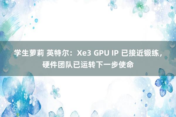 学生萝莉 英特尔：Xe3 GPU IP 已接近锻练，硬件团队已运转下一步使命