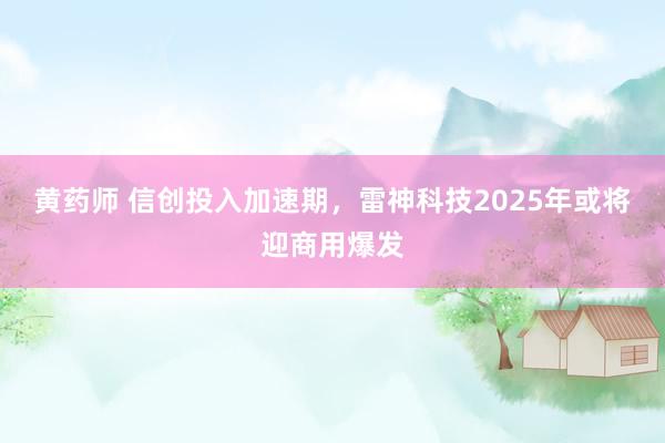 黄药师 信创投入加速期，雷神科技2025年或将迎商用爆发