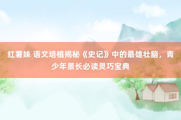 红薯妹 语文培植揭秘《史记》中的最雄壮脑，青少年景长必读灵巧宝典