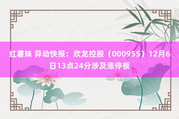 红薯妹 异动快报：欣龙控股（000955）12月6日13点24分涉及涨停板