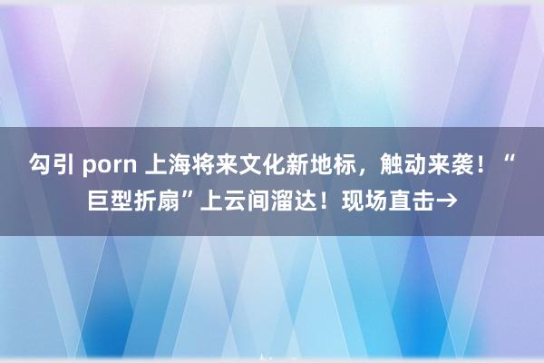 勾引 porn 上海将来文化新地标，触动来袭！“巨型折扇”上云间溜达！现场直击→