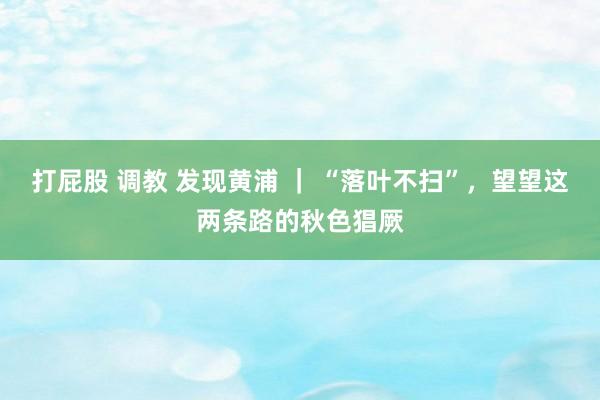 打屁股 调教 发现黄浦 ｜ “落叶不扫”，望望这两条路的秋色猖厥