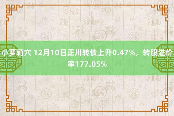 小萝莉穴 12月10日正川转债上升0.47%，转股溢价率177.05%