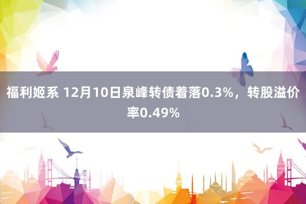 福利姬系 12月10日泉峰转债着落0.3%，转股溢价率0.49%