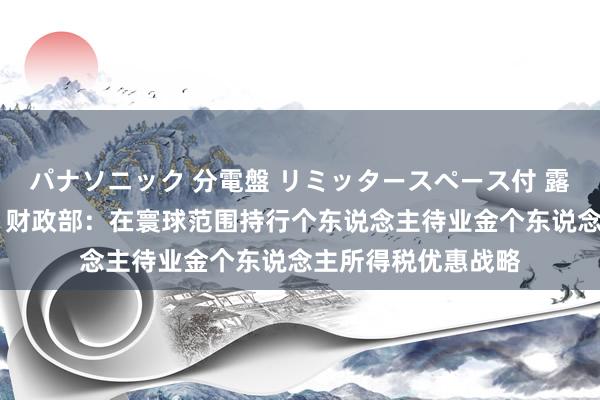 パナソニック 分電盤 リミッタースペース付 露出・半埋込両用形 财政部：在寰球范围持行个东说念主待业金个东说念主所得税优惠战略