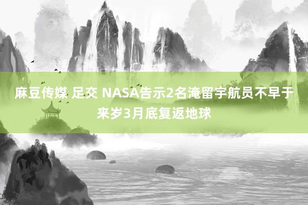 麻豆传媒 足交 NASA告示2名淹留宇航员不早于来岁3月底复返地球