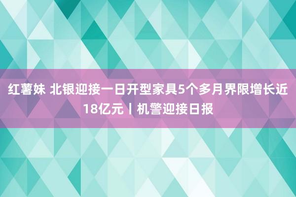 红薯妹 北银迎接一日开型家具5个多月界限增长近18亿元丨机警迎接日报