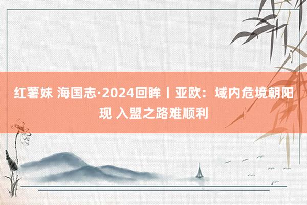 红薯妹 海国志·2024回眸丨亚欧：域内危境朝阳现 入盟之路难顺利