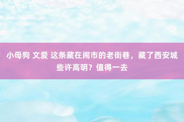 小母狗 文爱 这条藏在闹市的老街巷，藏了西安城些许高明？值得一去