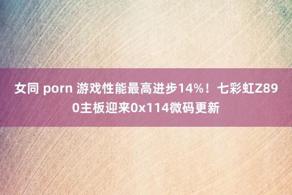 女同 porn 游戏性能最高进步14%！七彩虹Z890主板迎来0x114微码更新