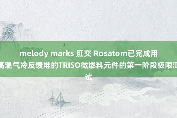 melody marks 肛交 Rosatom已完成用于高温气冷反馈堆的TRISO微燃料元件的第一阶段极限测试