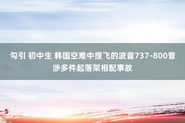 勾引 初中生 韩国空难中捏飞的波音737-800曾涉多件起落架相配事故