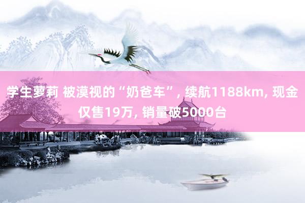 学生萝莉 被漠视的“奶爸车”， 续航1188km， 现金仅售19万， 销量破5000台