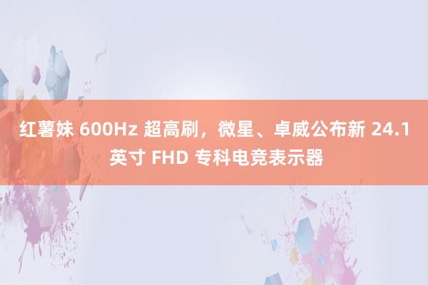 红薯妹 600Hz 超高刷，微星、卓威公布新 24.1 英寸 FHD 专科电竞表示器