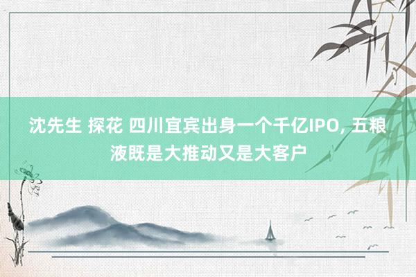 沈先生 探花 四川宜宾出身一个千亿IPO， 五粮液既是大推动又是大客户