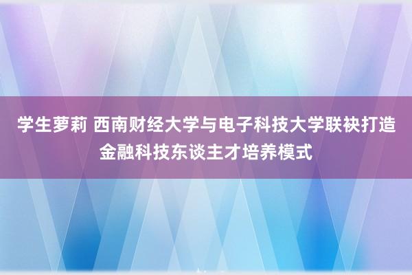 学生萝莉 西南财经大学与电子科技大学联袂打造金融科技东谈主才培养模式