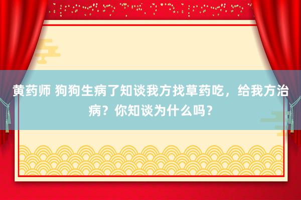 黄药师 狗狗生病了知谈我方找草药吃，给我方治病？你知谈为什么吗？