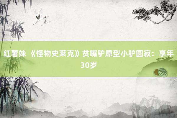 红薯妹 《怪物史莱克》贫嘴驴原型小驴圆寂：享年30岁