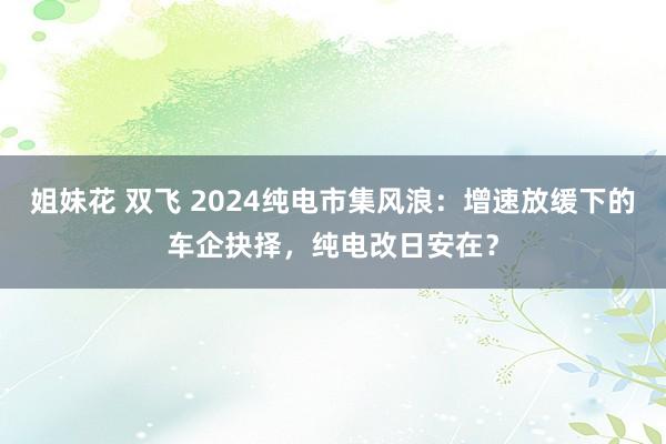 姐妹花 双飞 2024纯电市集风浪：增速放缓下的车企抉择，纯电改日安在？