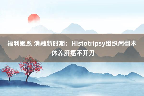 福利姬系 消融新时期：Histotripsy组织闹翻术 休养肝癌不开刀