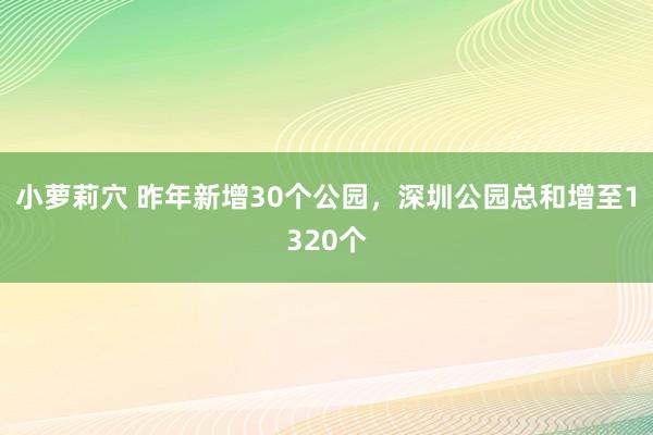 小萝莉穴 昨年新增30个公园，深圳公园总和增至1320个