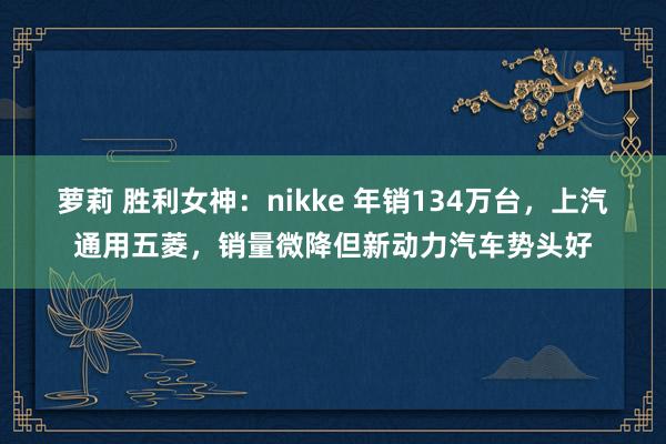 萝莉 胜利女神：nikke 年销134万台，上汽通用五菱，销量微降但新动力汽车势头好