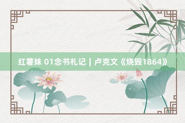 红薯妹 01念书札记∣卢克文《烧毁1864》