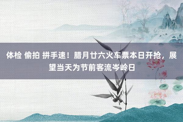 体检 偷拍 拼手速！腊月廿六火车票本日开抢，展望当天为节前客流岑岭日