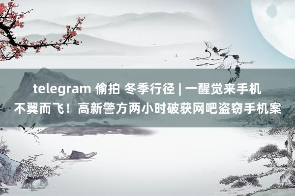 telegram 偷拍 冬季行径 | 一醒觉来手机不翼而飞！高新警方两小时破获网吧盗窃手机案