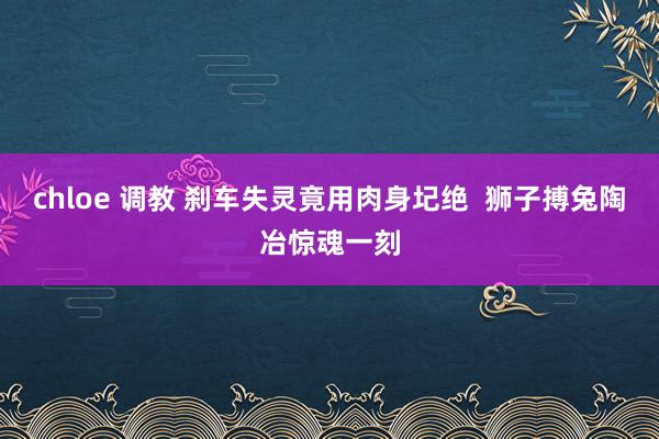 chloe 调教 刹车失灵竟用肉身圮绝  狮子搏兔陶冶惊魂一刻