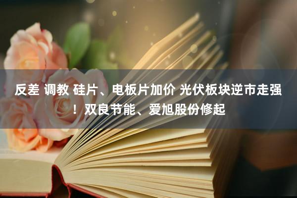 反差 调教 硅片、电板片加价 光伏板块逆市走强！双良节能、爱旭股份修起