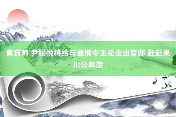 黄药师 尹锡悦将给与逮捕令主动走出官邸 赶赴果川公斡旋