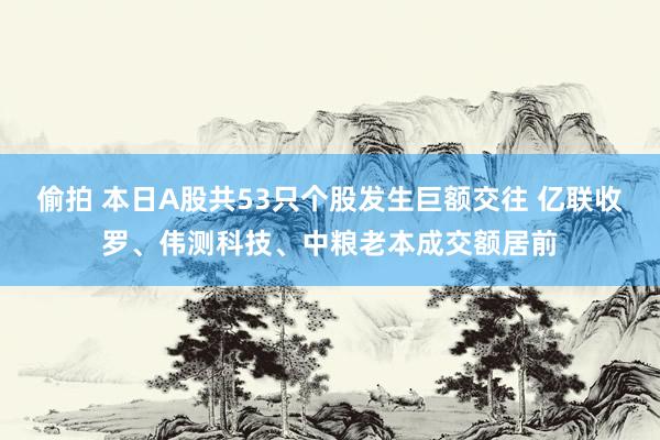 偷拍 本日A股共53只个股发生巨额交往 亿联收罗、伟测科技、中粮老本成交额居前